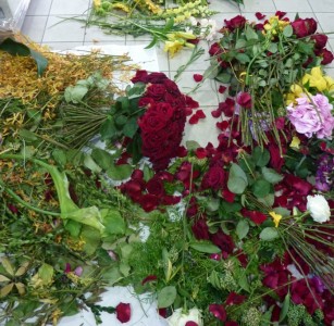 Récupération de fleurs et végétaux