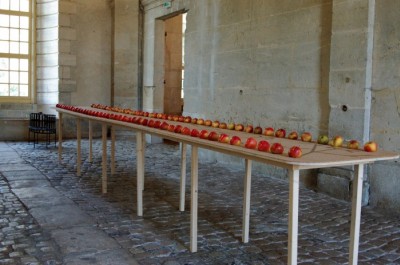 Installation de Mes pommes au Château de La Roche-Guyon, 2007