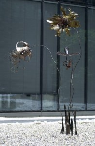 fleur de béton - 2005