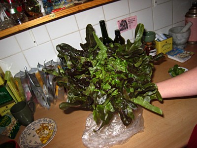 De la salade