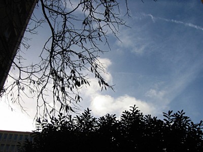 Il fait beau