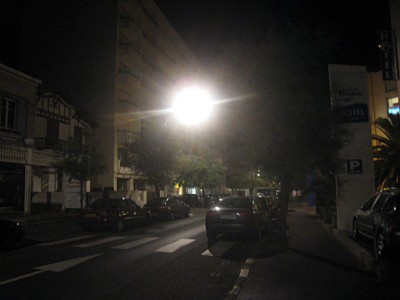 Nous sortons promener le chien