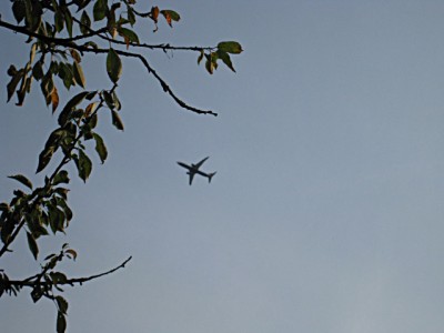 Un avion passe au dessus de nous