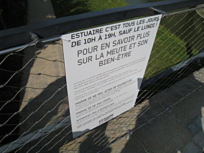Des loups sont présents dans les douves