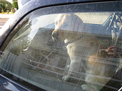 Je monte dans la voiture de Jérémy