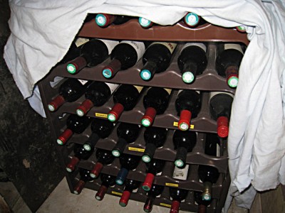 Yann me présente ses vins