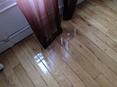 Je rentre chez moi. J'avais laissé les fenêtres ouvertes