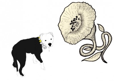 Pathos racorni