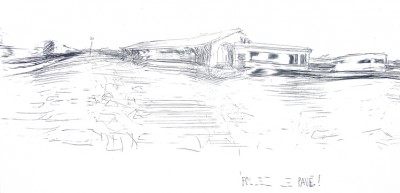Suburban Landscape