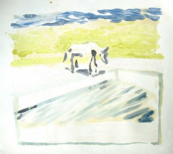 animal dans la nature