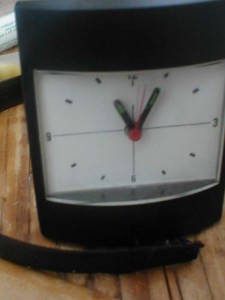 11:05:00