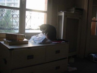 07:48:31