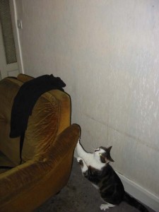 23:24:55