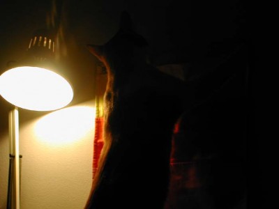 06:55:09