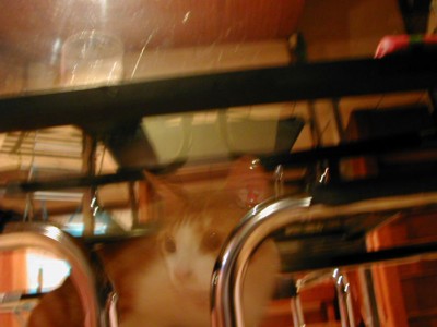 19:49:32