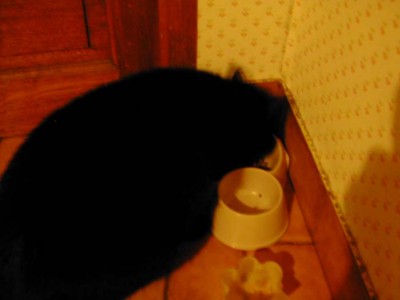 06:15:34