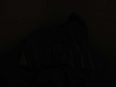 02:01:10