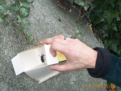 15:35:55