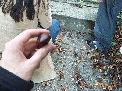 15:44:36