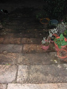 08:00:58
