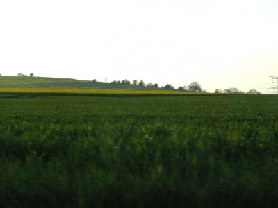19:45:56
