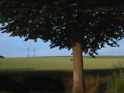 17:55:41