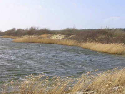 14:56:38