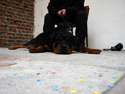 Mais son chien n'est pas très agressif