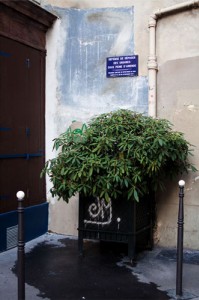 Le ciel est par dessus le toit 03