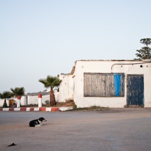 Les témoins 01