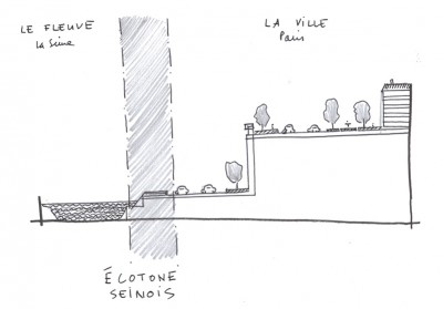 écotone-seinois