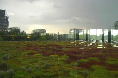 Utrecht, campus.