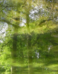 Courances-1