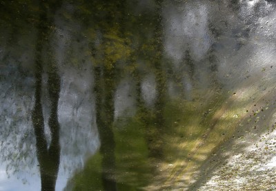 Courances-3