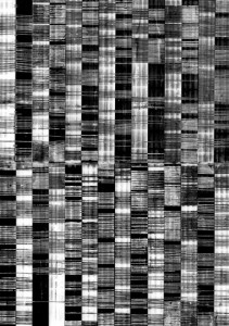 monochrome-2