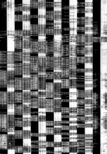 monochrome-3