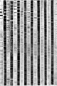 monochrome-6
