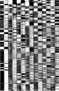 monochrome-7
