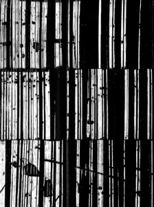 détail-6