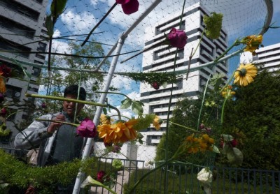 Les jardins suspendus