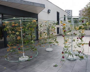 Les jardins suspendus
