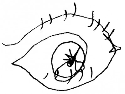 eye