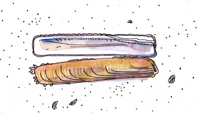 couteau-aurore