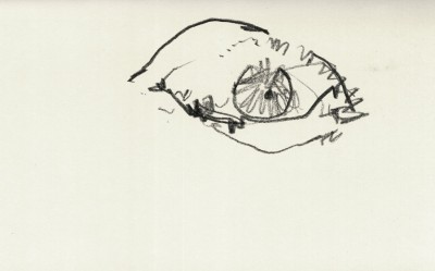 oeil_cappelletto
