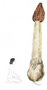 A genoux