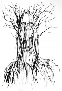 Arbre - Henri