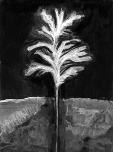 arbre alice