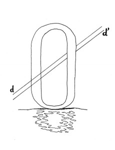 paralelles o