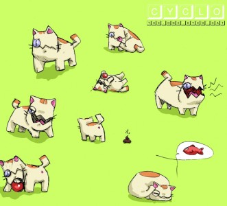 cyclo the one eyed cat