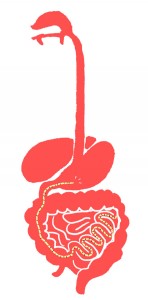 Qu'est ce qu'on mange ? - aki